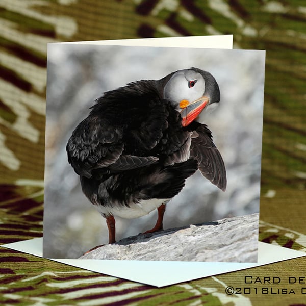 Exclusive Handmade Puffin Poser Greetings Card on Archive Photo Paper