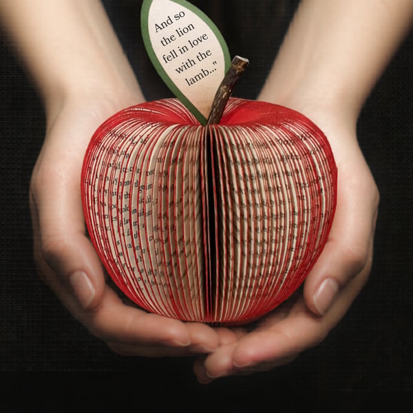 Twilight Book Apple – Personalised Gift for Book Lovers