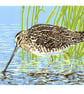 Common Snipe wading bird - Limited Edition Linocut Reduction Print - Image 2
