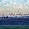 Murmurations Of Birds December 2025 Norfolk Greeting Card A5