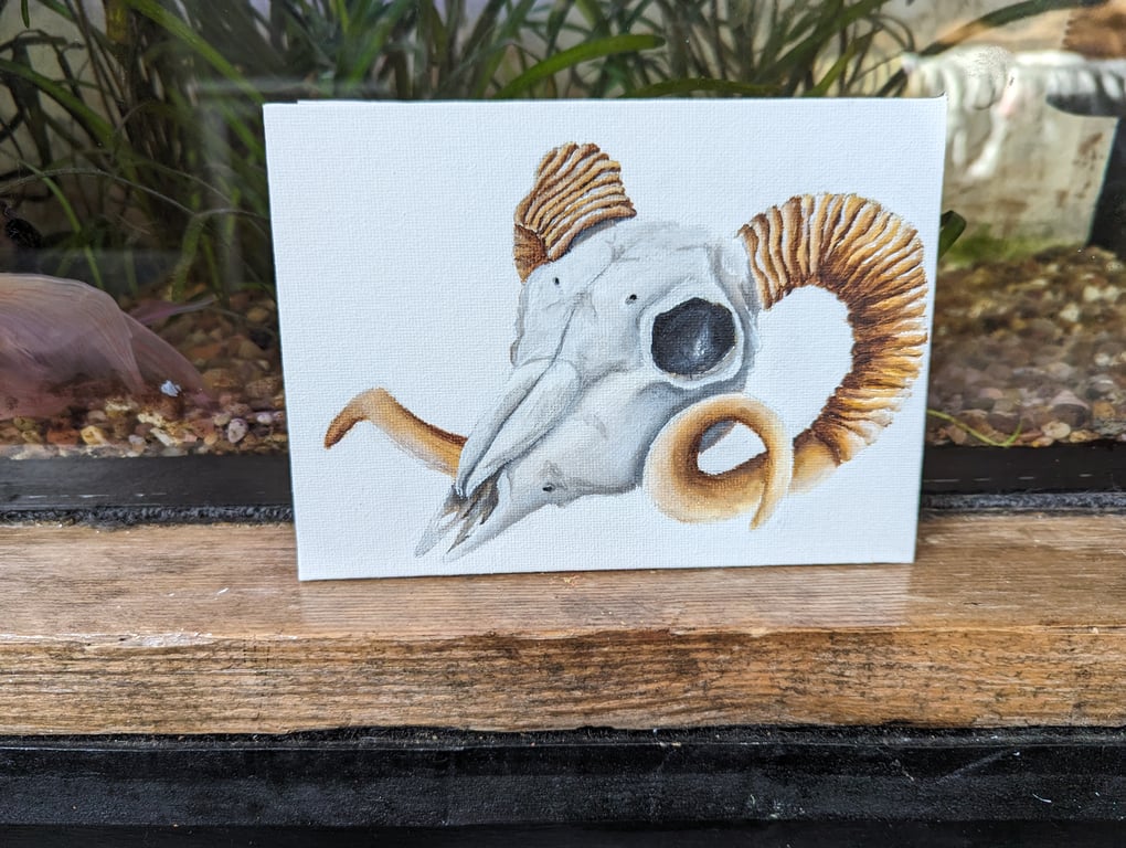 Ram Sheep Skull Painting 