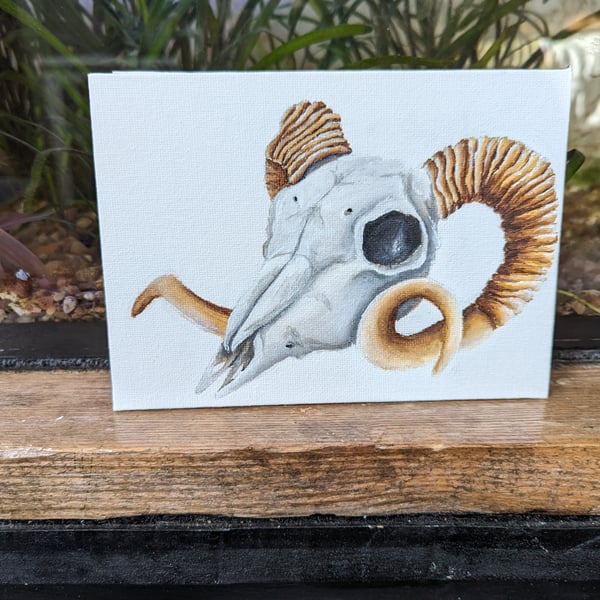 Ram Sheep Skull Painting 