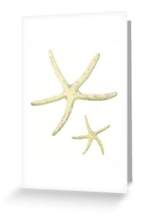 Seconds Sunday starfish design blank note card greeting sea shell card, art card