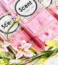 Raspberry Ripple Snap Bar Wax Melts  - Image 2
