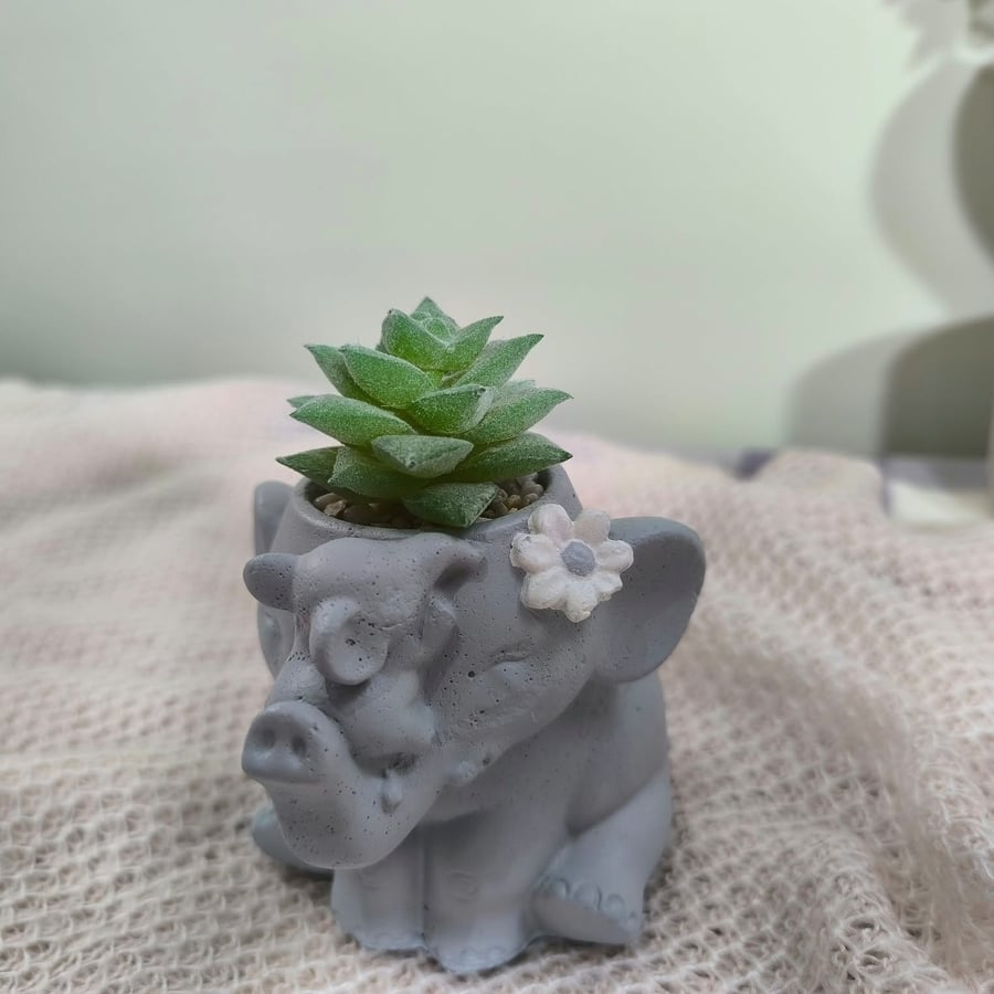 Concrete elephant planter with faux succulent, cute shelf decor, desk ornaments