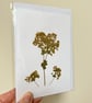 Real Pressed Flower, Lady's Mantle Handmade Card - Image 2