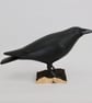 Crow  - Image 1