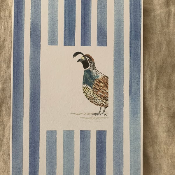 Quail Stripe A4 & A3 Eco-Friendly Art Print