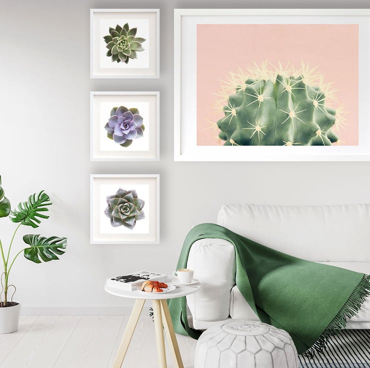 Pink cactus wall art print - Blush pink cactus ... - Folksy