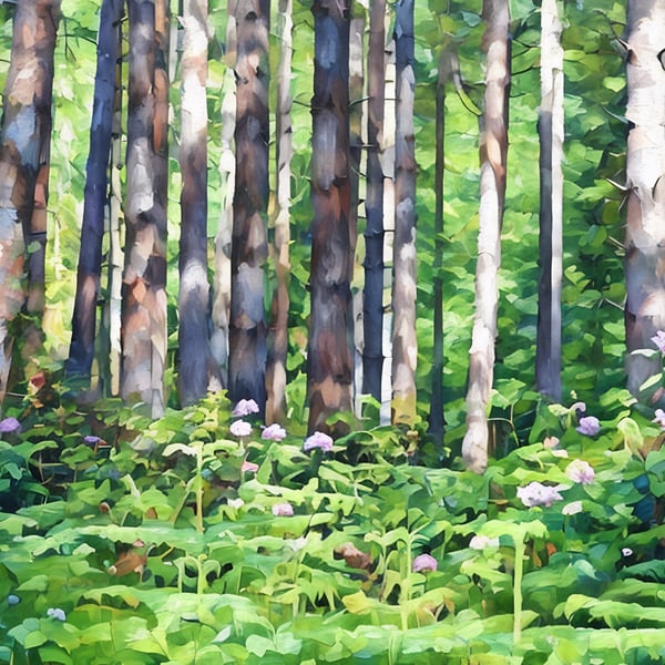 A5 Greeting Card Woods Norfolk