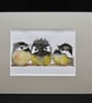 Three baby birds  - Image 2