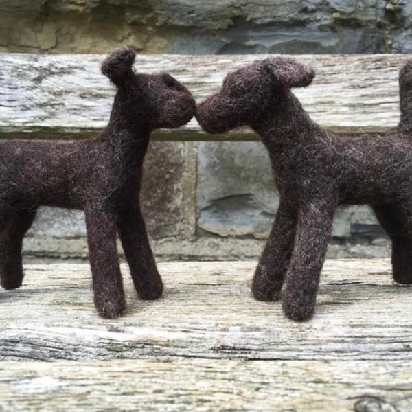 Black dog needle felt kit Challenging Kit for those with experience