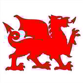Red Dragon Metal Art