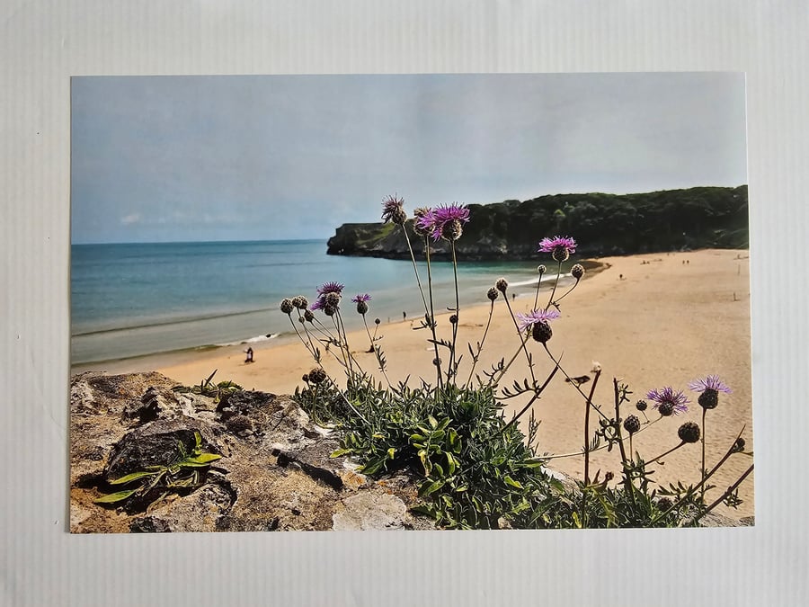 Barafundle Bay Seaside Phoro Print 20cm x 30cm (8" x 12")