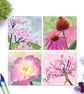Pink Flower Card Collection - Lacecap Hydrangea, Echinacea. Peony, Nerine - Image 1