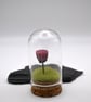small glass pink rose