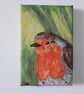 Robin small original painting on canvass