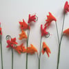 Beautiful botanical flowers in shades of orange