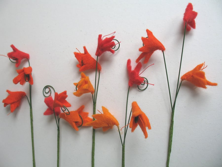 Beautiful botanical flowers in shades of orange