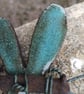 Small Dragonfly  - Image 3