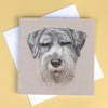 Greetings Card - Blank - Schnauzer Dog Portrait