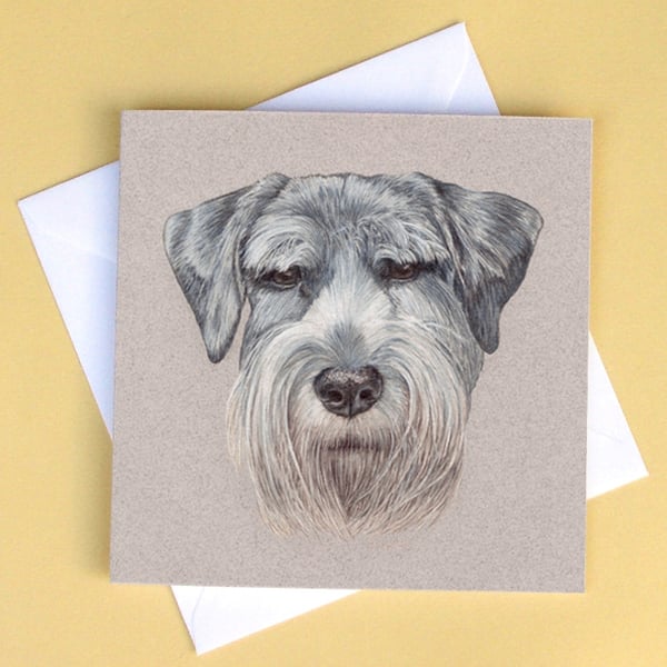 Greetings Card - Blank - Schnauzer Dog Portrait