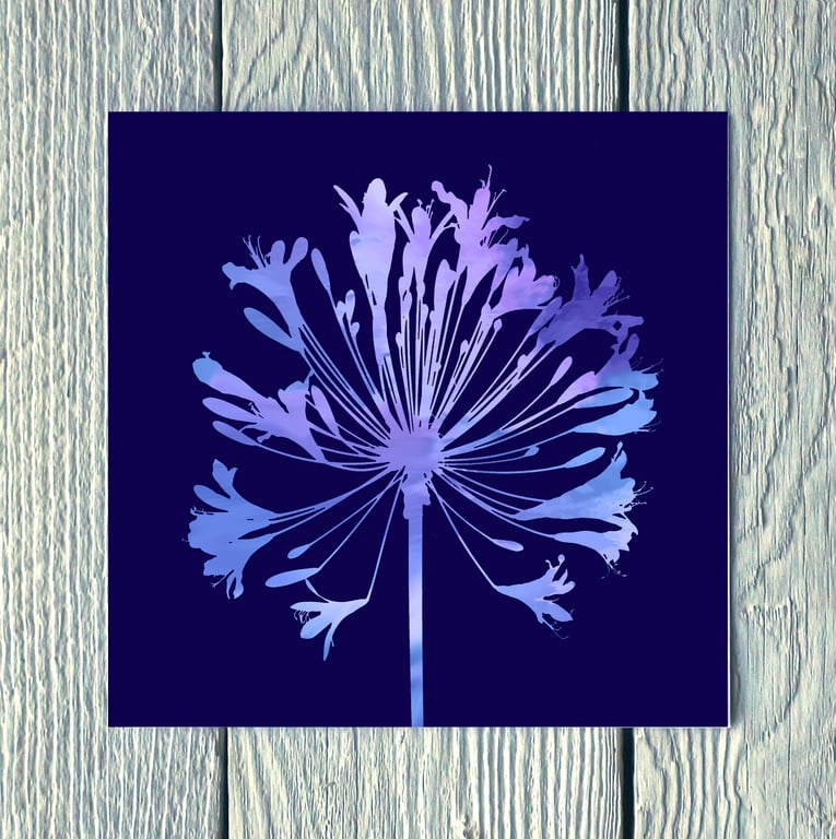 Agapanthus No.2, Greetings Card