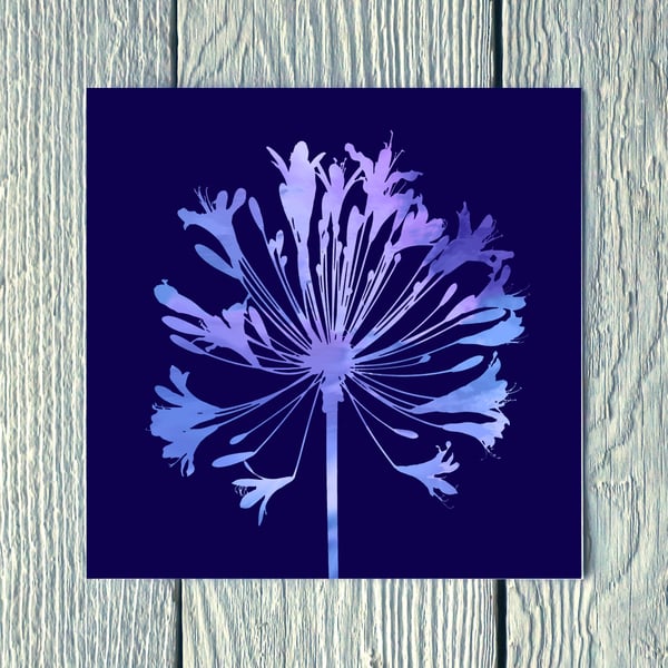 Agapanthus No.2, Greetings Card