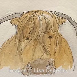 Highland cow - original watercolour painting. Farm animals.