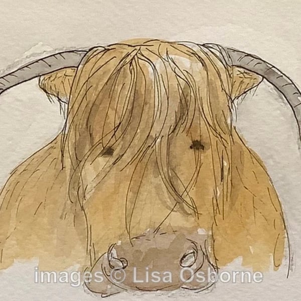 Highland cow - original watercolour painting. Farm animals.