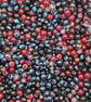 "Cherries and Berries" Glass Bead mix 50g
