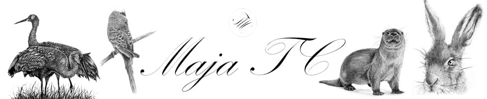 Maja TC Art