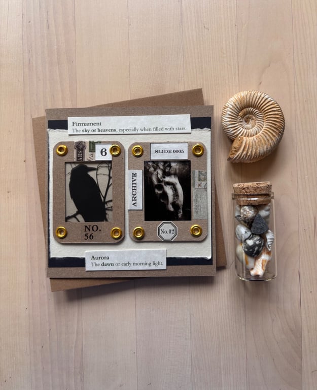 Vintage Ephemera - Crow and Muntjac Skull Card with envelope 