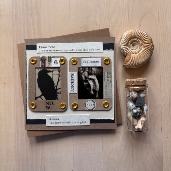 Vintage Ephemera - Crow and Muntjac Skull Card with envelope 