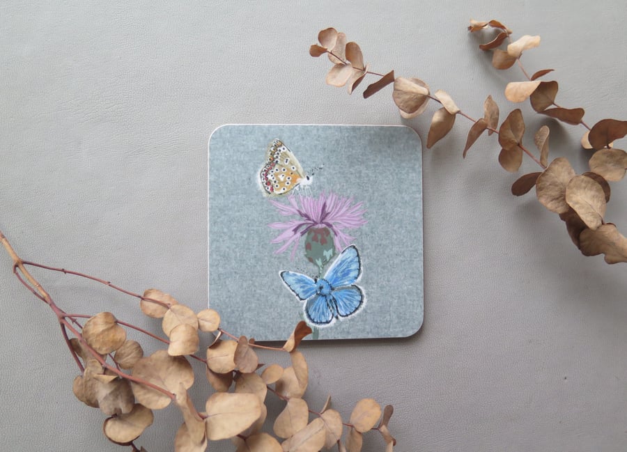 Common blue butterfly coaster