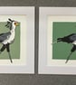 Limited edition: Secretary Bird Lino Print Mounted - Image 5