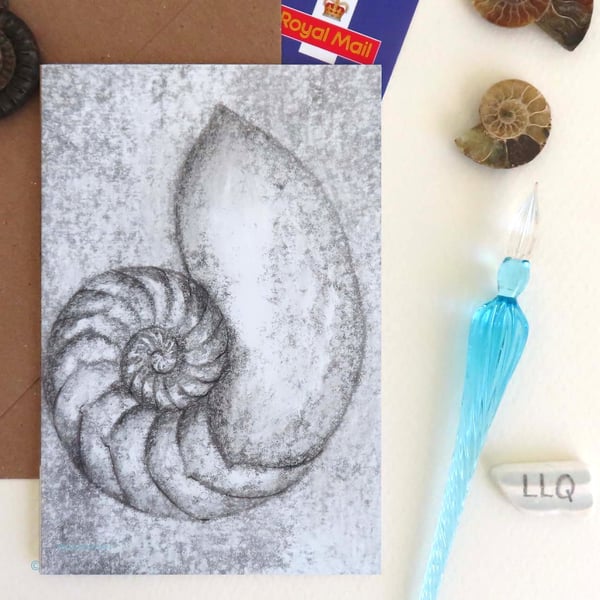 Blank card black and white chambered nautilus spiral shell notecard cello free