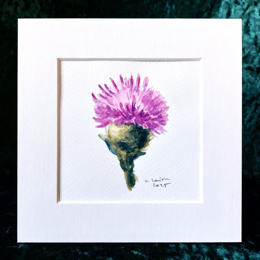 Thistle- Original Watercolour Painting
