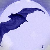 Blue Bat Designs
