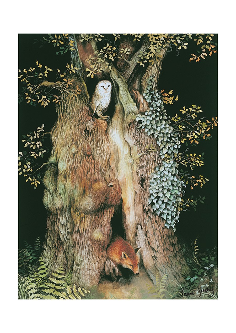 Old Oak Tree print by Valerie Greeley