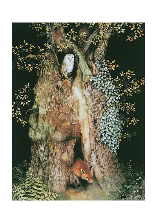 Old Oak Tree print by Valerie Greeley