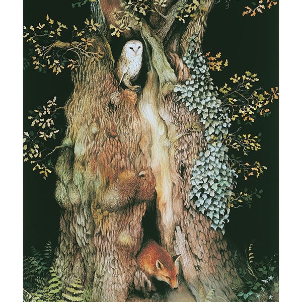 Old Oak Tree print by Valerie Greeley
