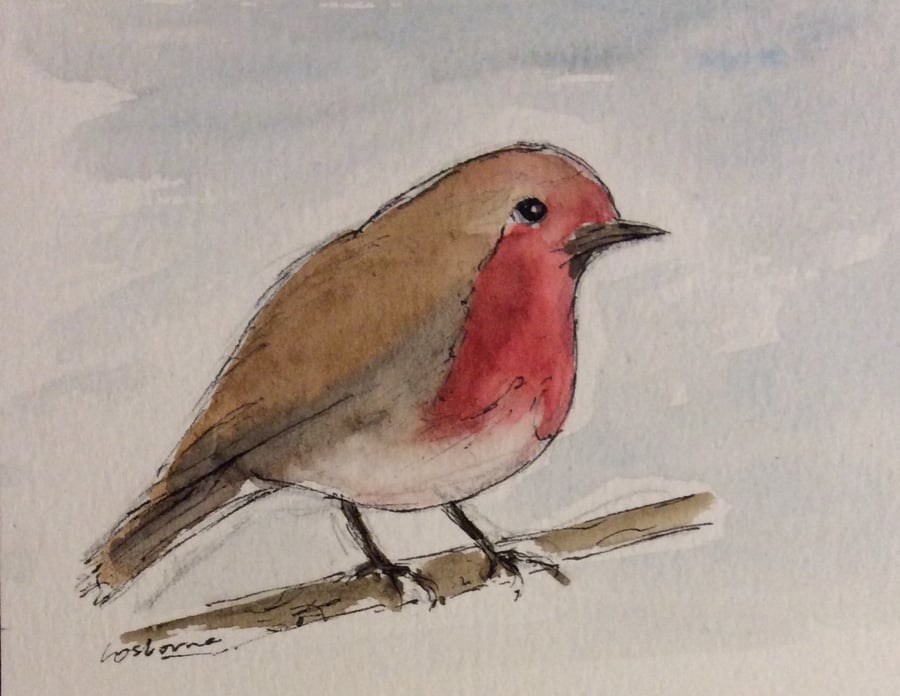 Robin - original pen, ink ,watercolour miniature of bird
