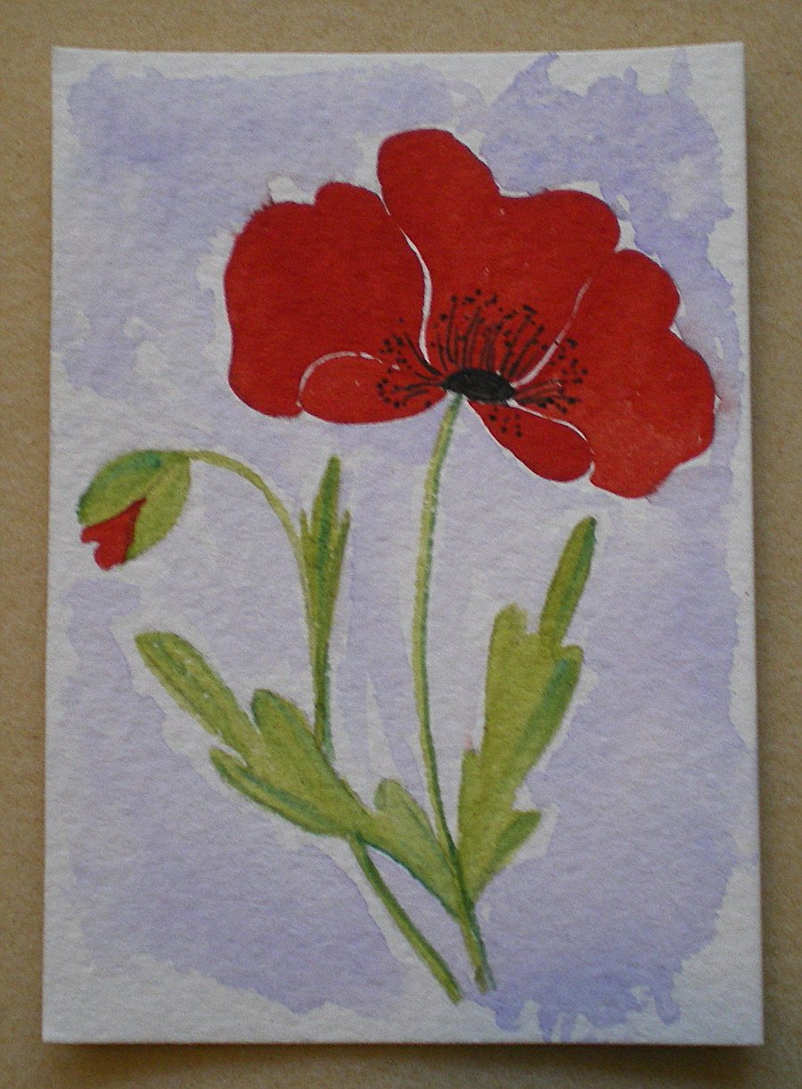 Aceo Original Water Colour  Flower Painting ' Poppy Study ' 2.5 x 3.5 ins