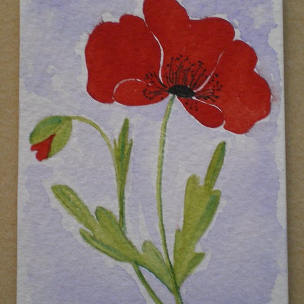 Aceo Original Water Colour  Flower Painting ' Poppy Study ' 2.5 x 3.5 ins