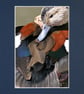 CJ002 - Ringed Teal preening - Image 3