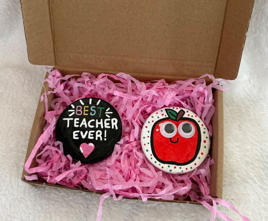 Best Teacher Ever Hand Painted Pebble Magnet Gift Set - Teacher Thank You Gift