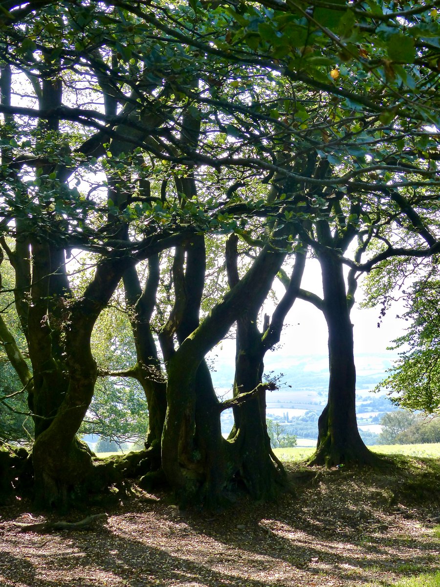 7" x 5" Photographic Card