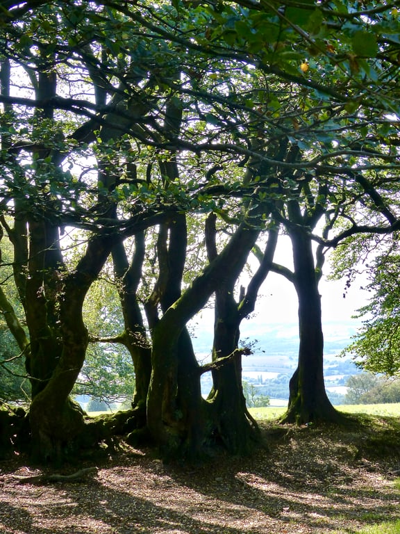 7" x 5" Photographic Card