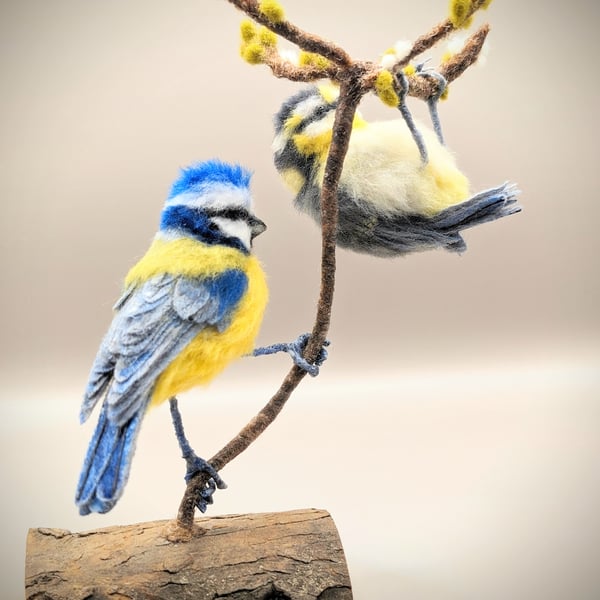 Bluetit and child